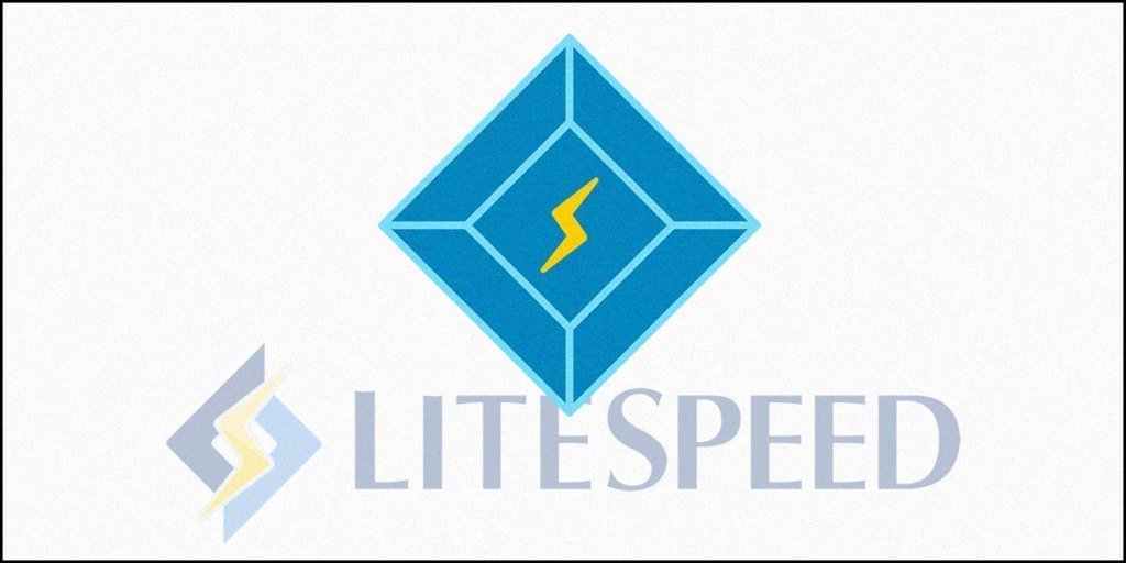 LiteSpeed Cache Review