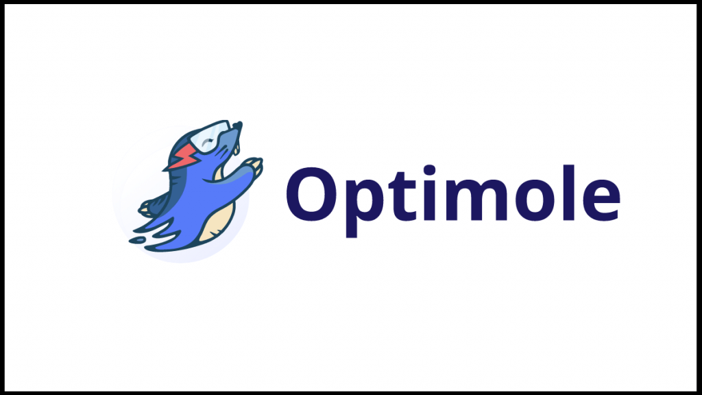 Optimole Review