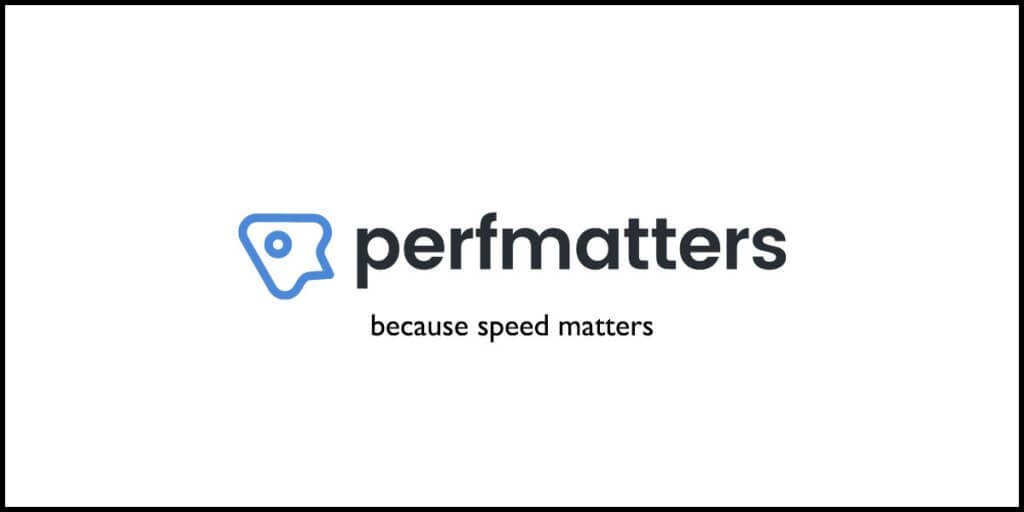 Perfmatters Plugin Review