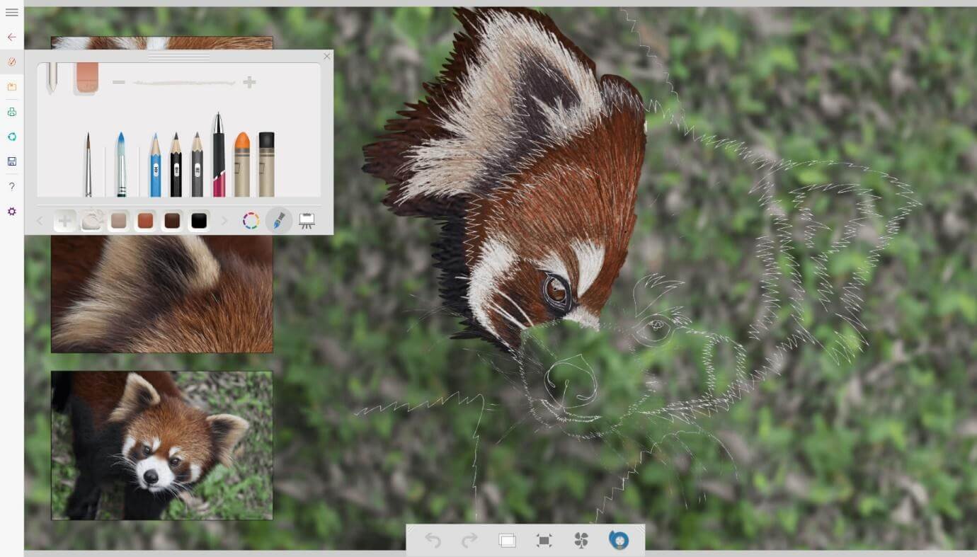 A picture containing text, mammal, lesser panda

Description automatically generated