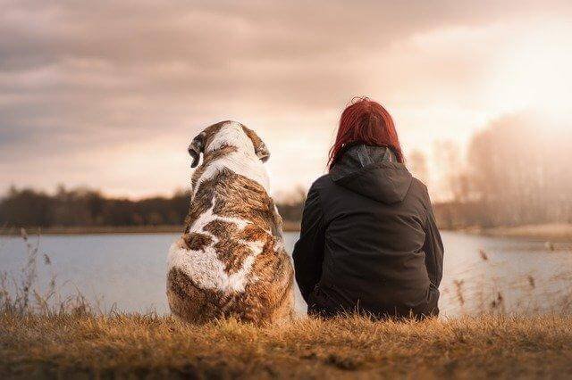 A person and a dog looking at each other

Description automatically generated with low confidence